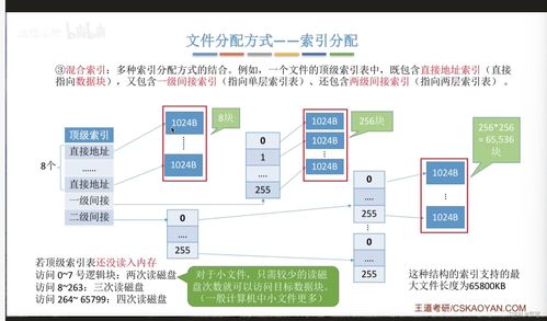 文件的物理結(jié)構(gòu) 數(shù)據(jù)處理與存儲(chǔ)支持服務(wù)的基石
